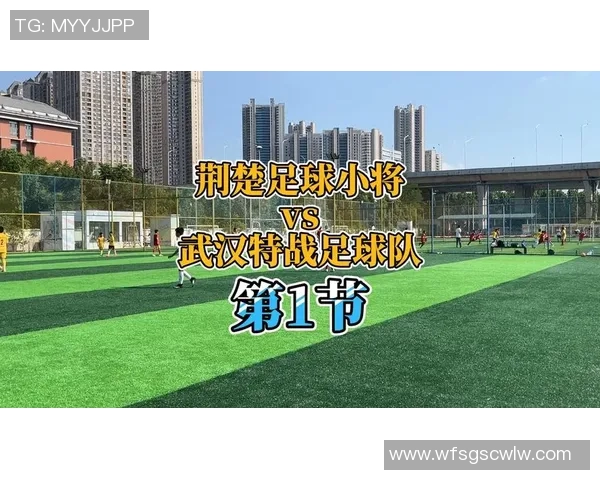 武汉足球队防守分析：优缺点与未来改进方向探讨